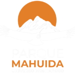 parque mahuida